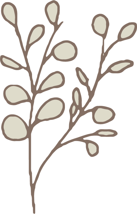 植物 植物の挿絵