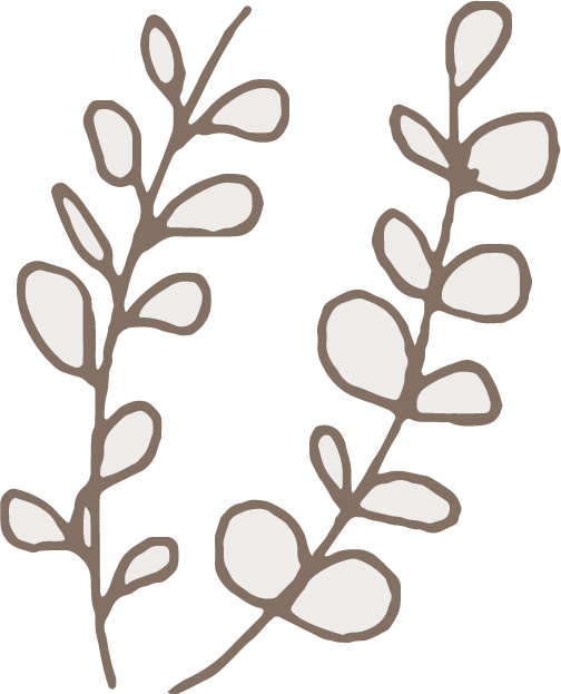 植物 植物の挿絵