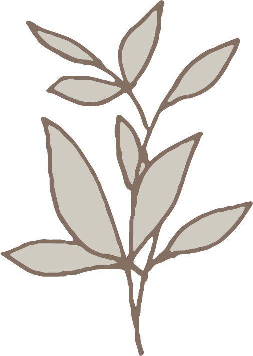 植物 植物の挿絵