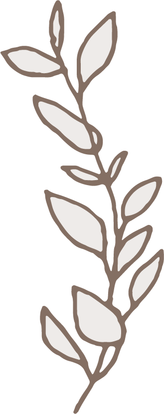 植物 植物の挿絵