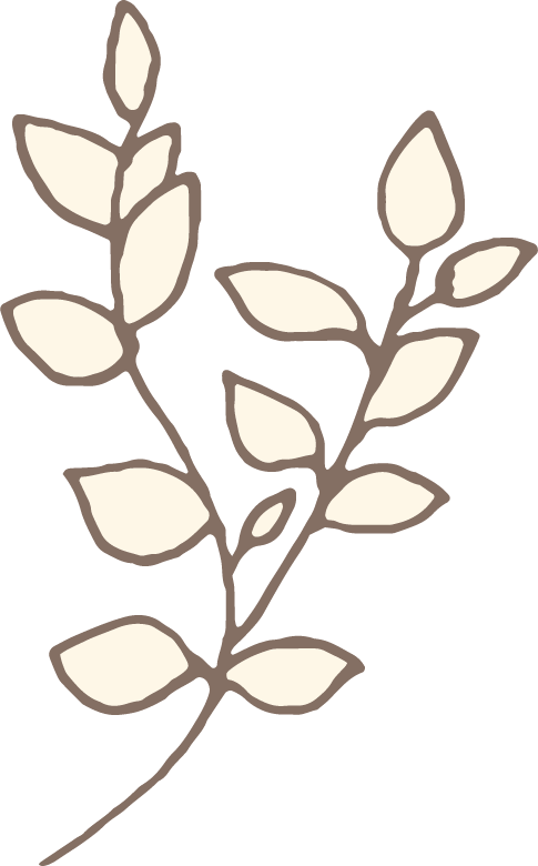 植物 植物の挿絵